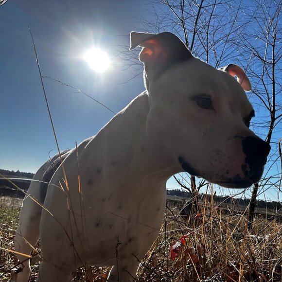 Meet your Posher, Adrianne! - Picture 9 of 16